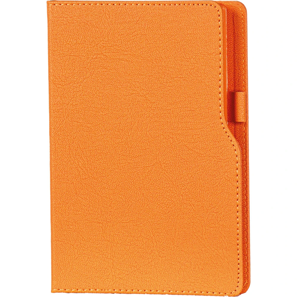 Tarihsiz Defter