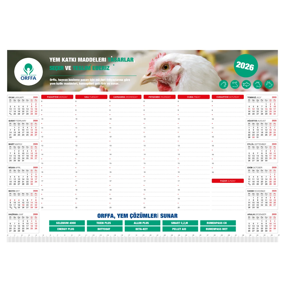 Tarihsiz Masa Sümeni